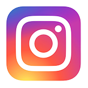 ins